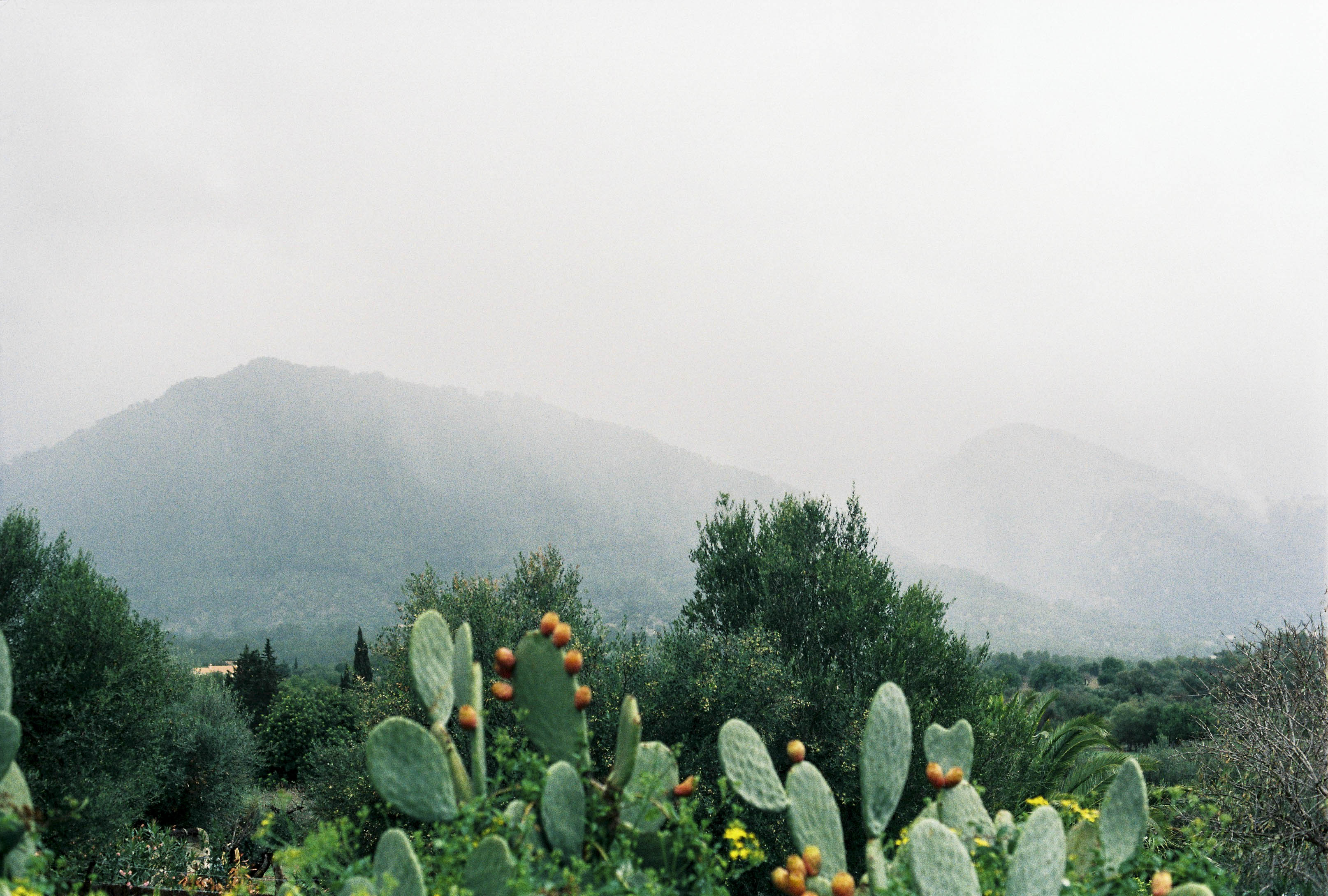 Fashion & Sustainability Communication